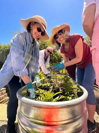 Garden champions